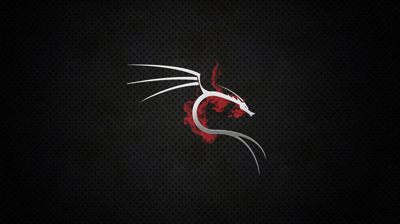 اهداف اصلی کالی لینوکس